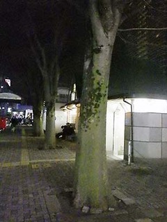 jel1801191.jpg