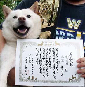 k_hyousho141011.jpg