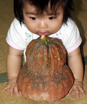 kabocha1008112.jpg