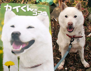 kaikun1201252.jpg