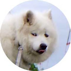 kao190612.jpg