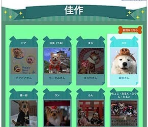 kasaku190301.jpg