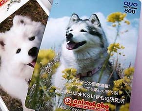 kawaii_q141011.jpg
