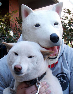 kenta_120107.jpg