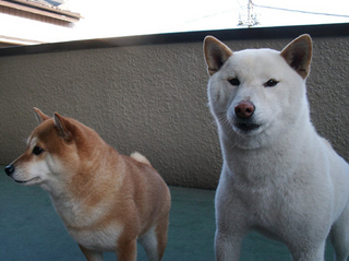 kenta_120321.jpg