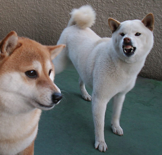 kenta_1203212.jpg
