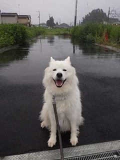 kinjo1907123.jpg