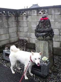 kinjo_g2109021.jpg