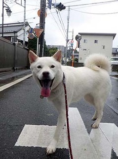 kinjo_g2109022.jpg