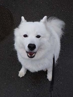 kinjo_i1811091.jpg