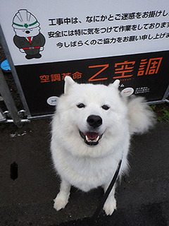 kinjo_i1811092.jpg