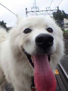 kinjo_i2009063.jpg