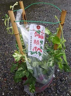 kishimo190707.jpg