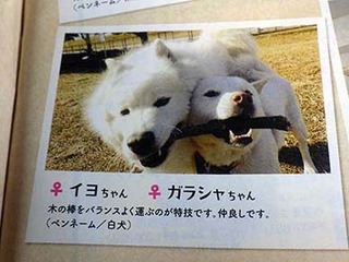 kojima220510.jpg