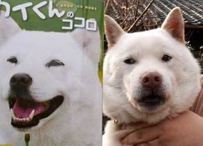koma120328.jpg