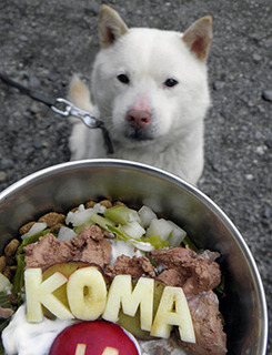 koma1704021.jpg