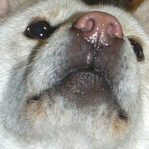 koma_050125.jpg
