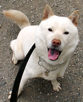 koma_100402.jpg