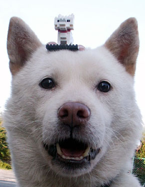 koma_101003.jpg