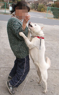 koma_1101304.jpg