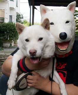 koma_111012.jpg