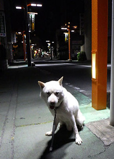 koma_1707141.jpg