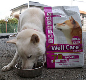 koma_food1110042.jpg