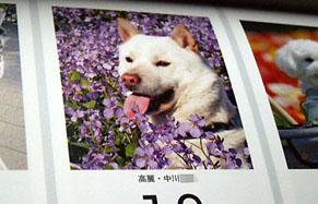 koma_ohban100918.jpg