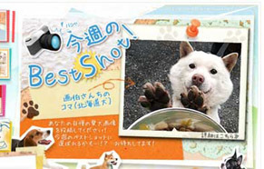 koma_ohyama121129.jpg