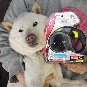 koma_ps1702073.jpg