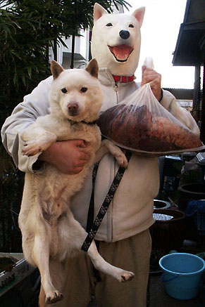 koma_s1004031.jpg
