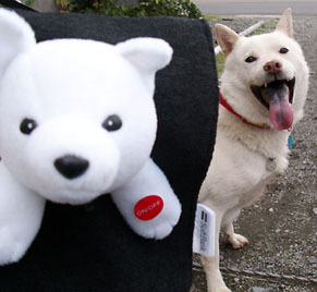 koma_sb1010171.jpg