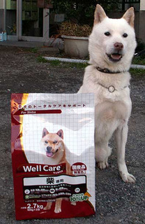 koma_shiba121127.jpg