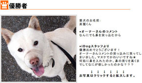 komadog110419.jpg