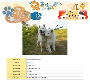 komaiyo_p140704.jpg
