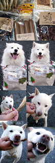 komanike_101225.jpg