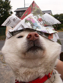 komazo_110505.jpg
