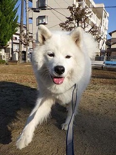 kouen1812011.jpg
