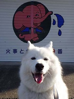 kouen1812015.jpg