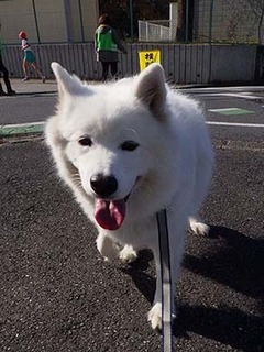 kouen1812016.jpg