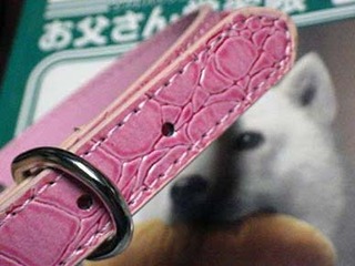 kubiwa2010112.jpg