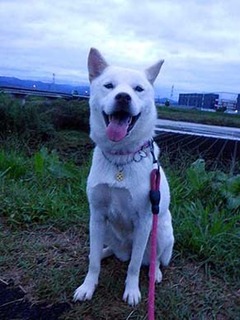 kubiwa2010113.jpg