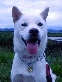 kubiwa2010114.jpg