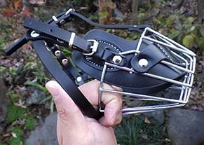 kuchiwa1712112.jpg