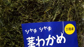 kuki1511071.jpg
