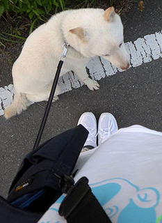 kutsu1707221.jpg