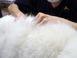 kyouken250616d.jpg