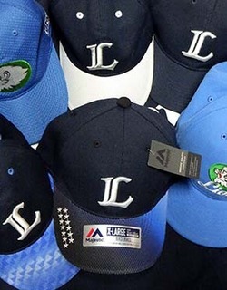 lcap1904112.jpg