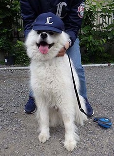 leo_iyo1805131.jpg