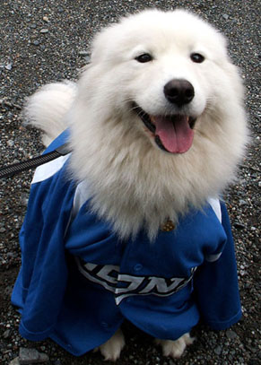 leo_nike0809231.jpg